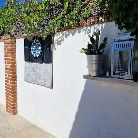 Mimosa Novigrad Istria