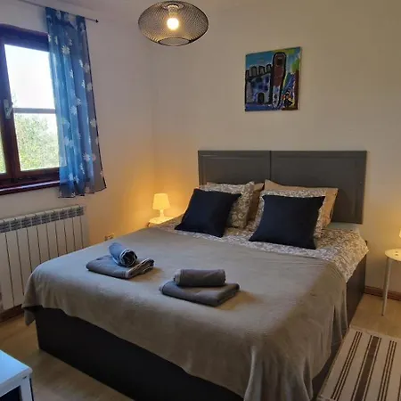 Mimosa Novigrad Istria