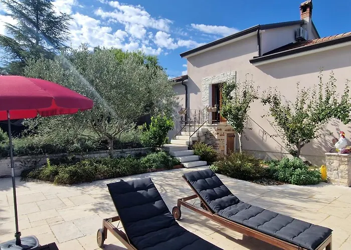 Mimosa Novigrad Istria