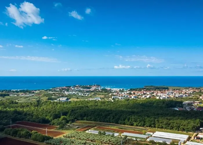 Mimosa Novigrad Istria