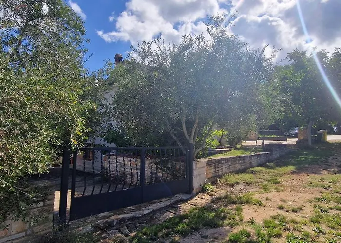 Villa Mimosa Novigrad Istria