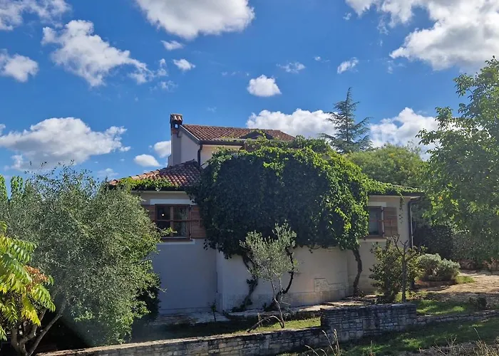 Mimosa Novigrad Istria