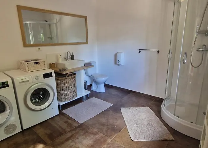 Mimosa * Novigrad Istria