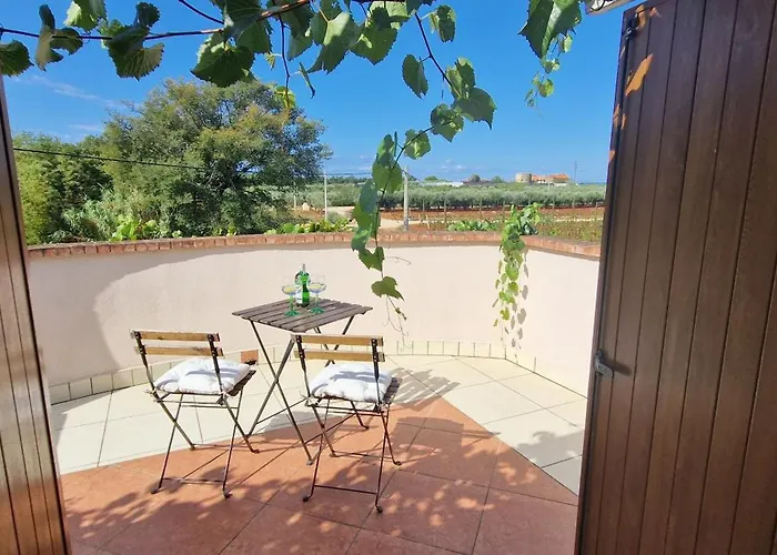 Villa Mimosa Novigrad Istria