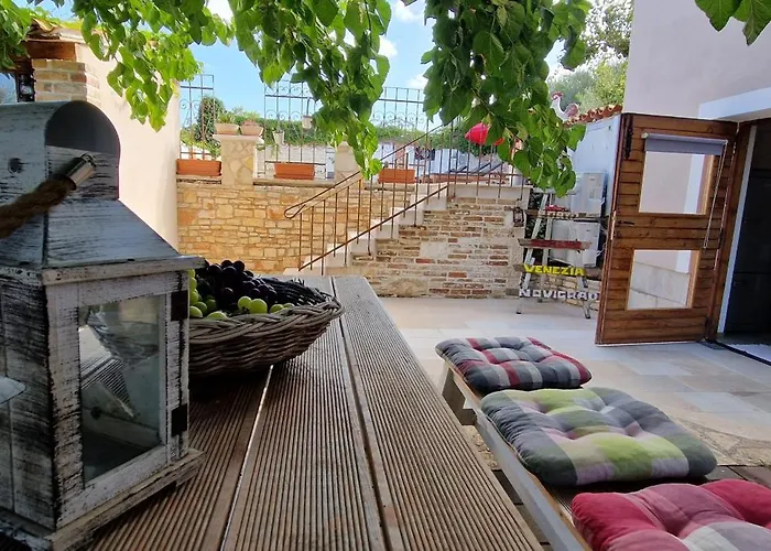 Mimosa * Novigrad Istria