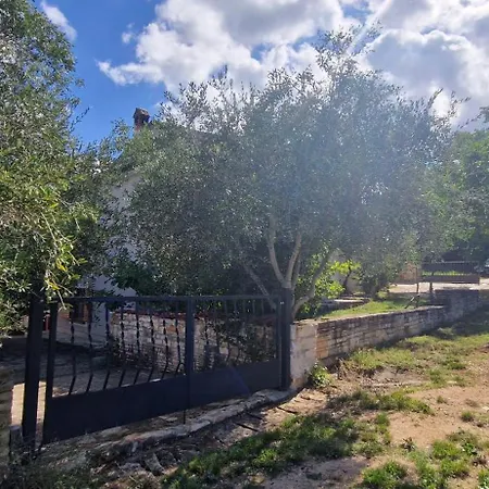 Villa Mimosa Novigrad (Istria)