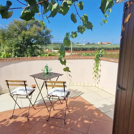 Villa Mimosa Novigrad (Istria)