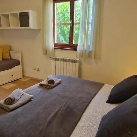 Mimosa Villa Novigrad (Istria)
