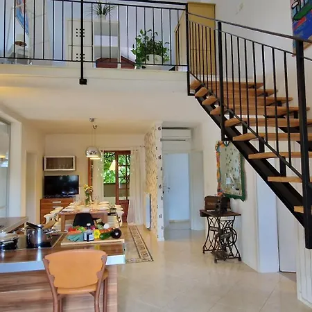Villa Mimosa Novigrad (Istria)