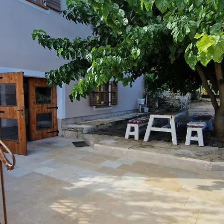 Mimosa Novigrad (Istria)