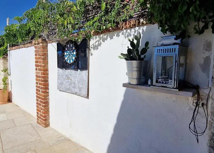 Mimosa Novigrad Istria