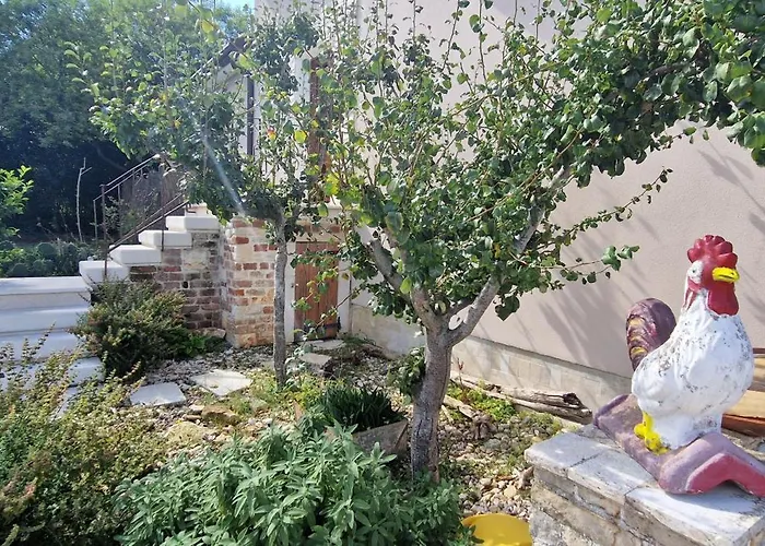 Mimosa Villa Novigrad Istria