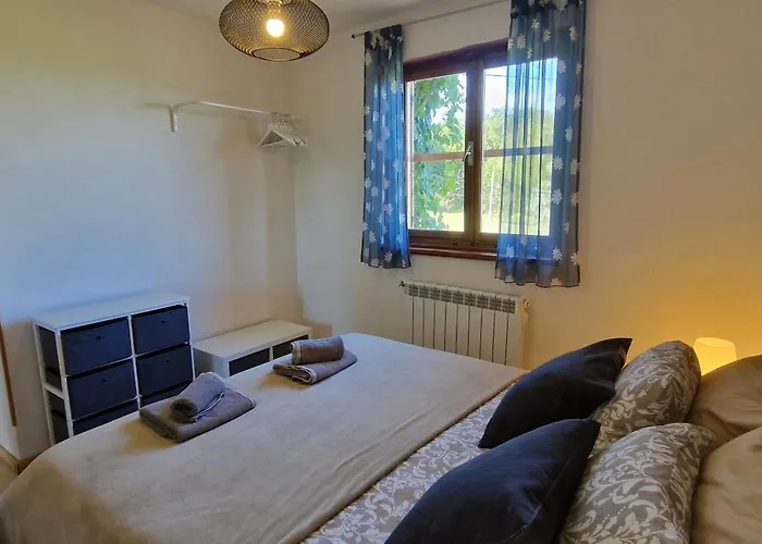 Mimosa * Novigrad Istria