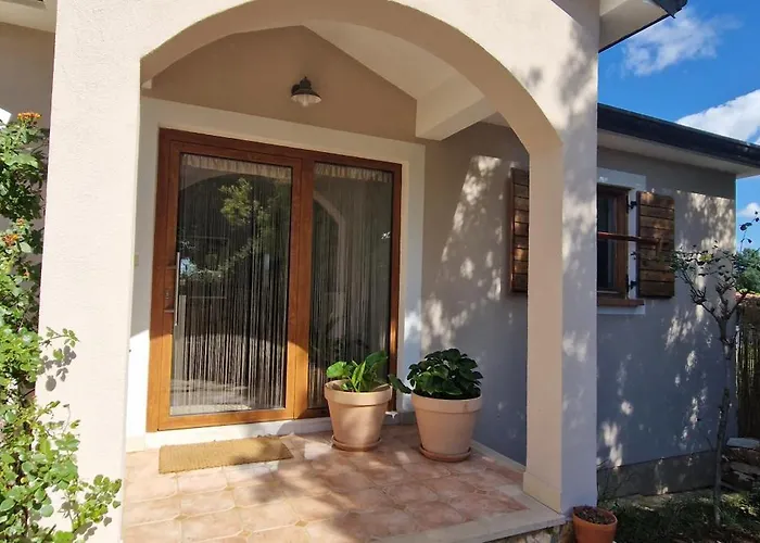 Mimosa Novigrad Istria