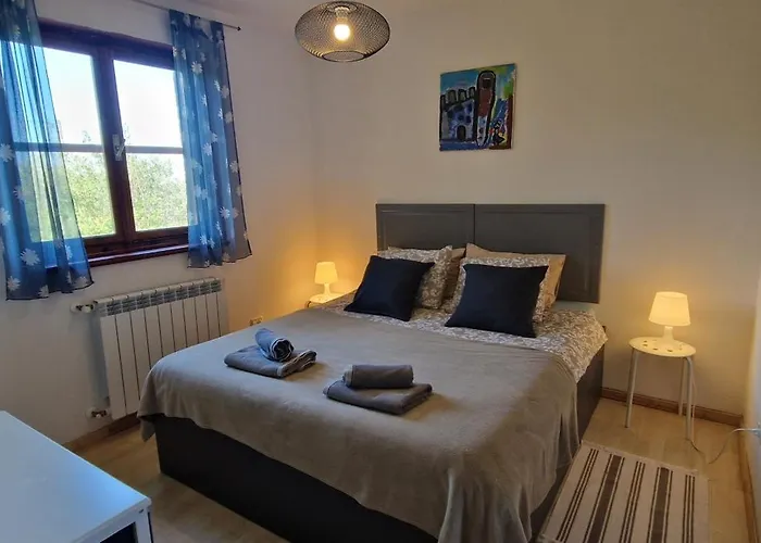 Mimosa Novigrad Istria