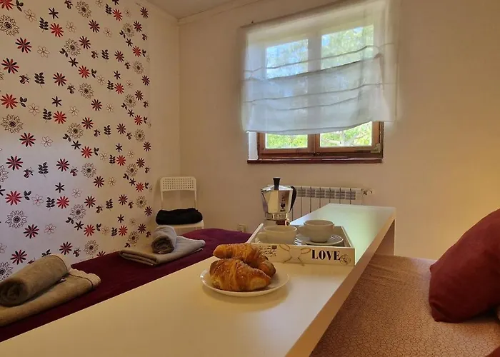 Mimosa * Novigrad Istria