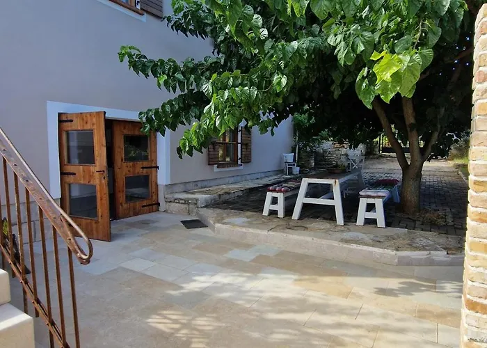 Mimosa Novigrad Istria