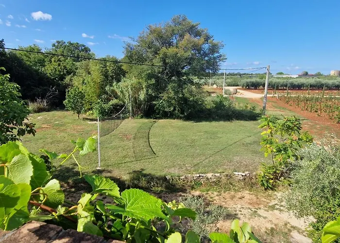 Villa Mimosa Novigrad Istria