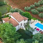 Mimosa Novigrad Istria