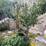 Mimosa Villa Novigrad Istria