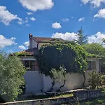 Mimosa Novigrad Istria