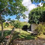 Mimosa Novigrad Istria