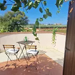 Villa Mimosa Novigrad Istria