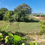 Villa Mimosa Novigrad Istria