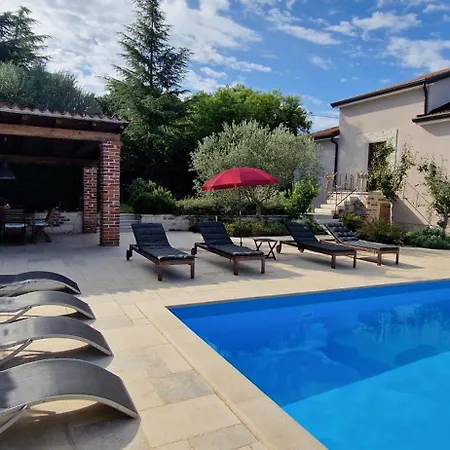 Mimosa Novigrad Istria