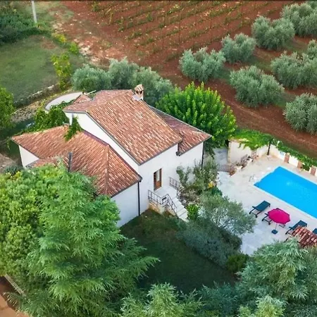 Mimosa Novigrad Istria