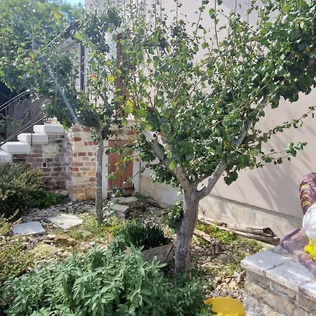 Mimosa Βίλα Novigrad Istria
