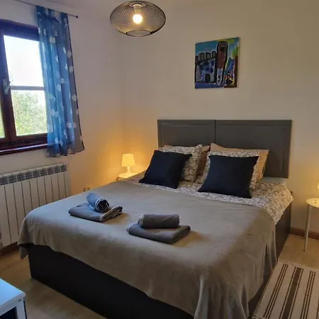 Mimosa Novigrad Istria