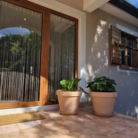 Mimosa Villa