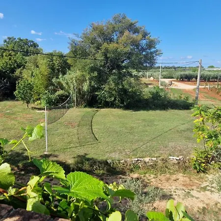 Βίλα Mimosa Novigrad Istria