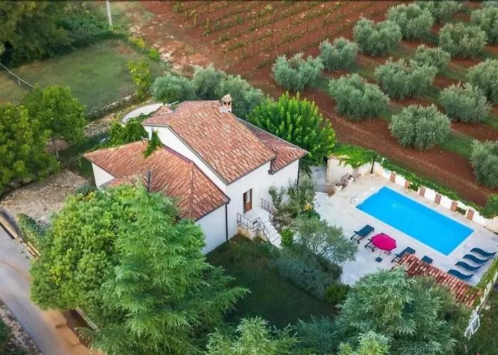 Mimosa Novigrad (Istria)